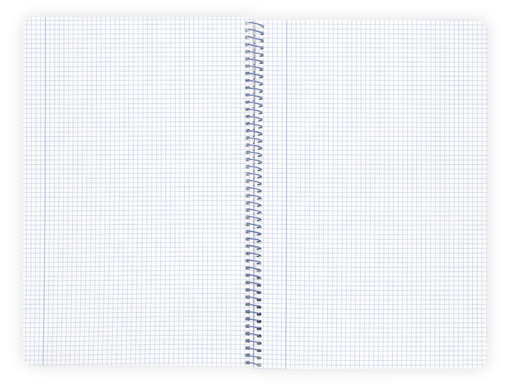 CUADERNO ESPIRAL LIDERPAPEL A4 WONDER TAPA PLASTICO 80H 90GR CUADRO 4MM CON MARGEN COLOR ROSA