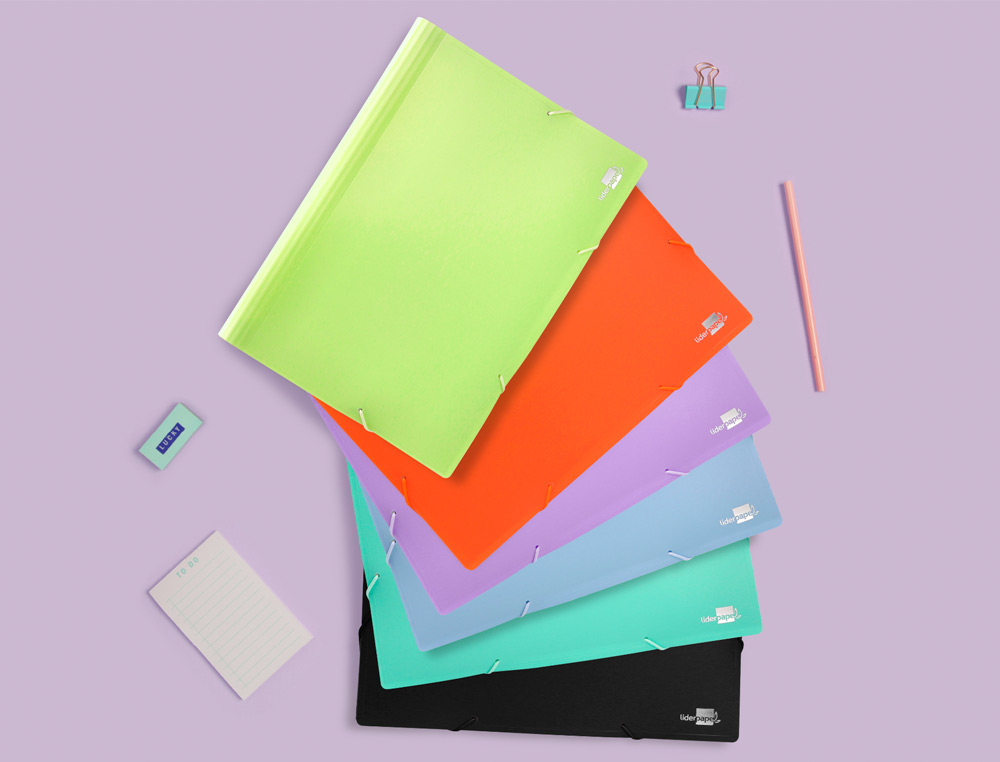 CARPETA LIDERPAPEL CLASIFICADOR FUELLE POLIPROPILENO DIN A4 LAVANDA OPACO 13 DEPARTAMENTOS