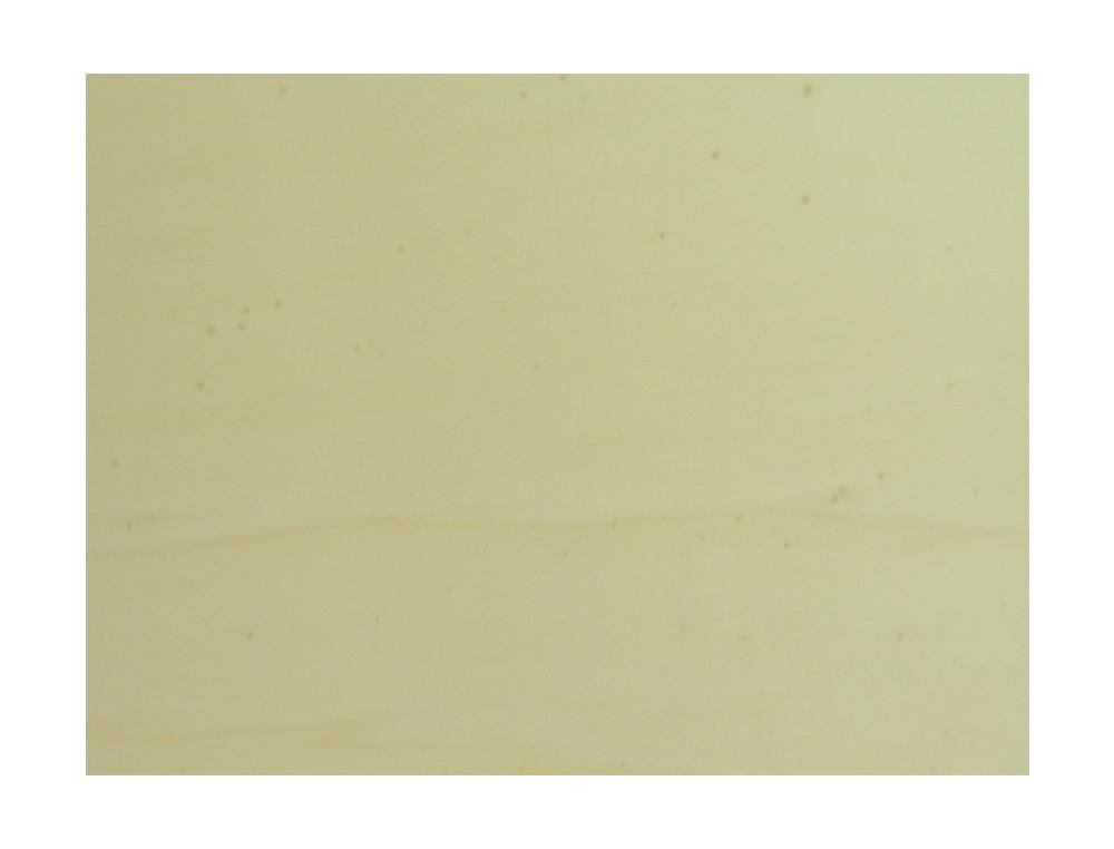 TABLA DE MARQUETERIA 39,5X59,5 CM