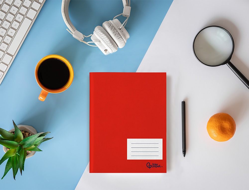 LIBRETA LIDERPAPEL SMART A5 PLUS 48 HOJAS 75GR HORIZONTAL DOBLE MARGEN COLORES SURTIDOS