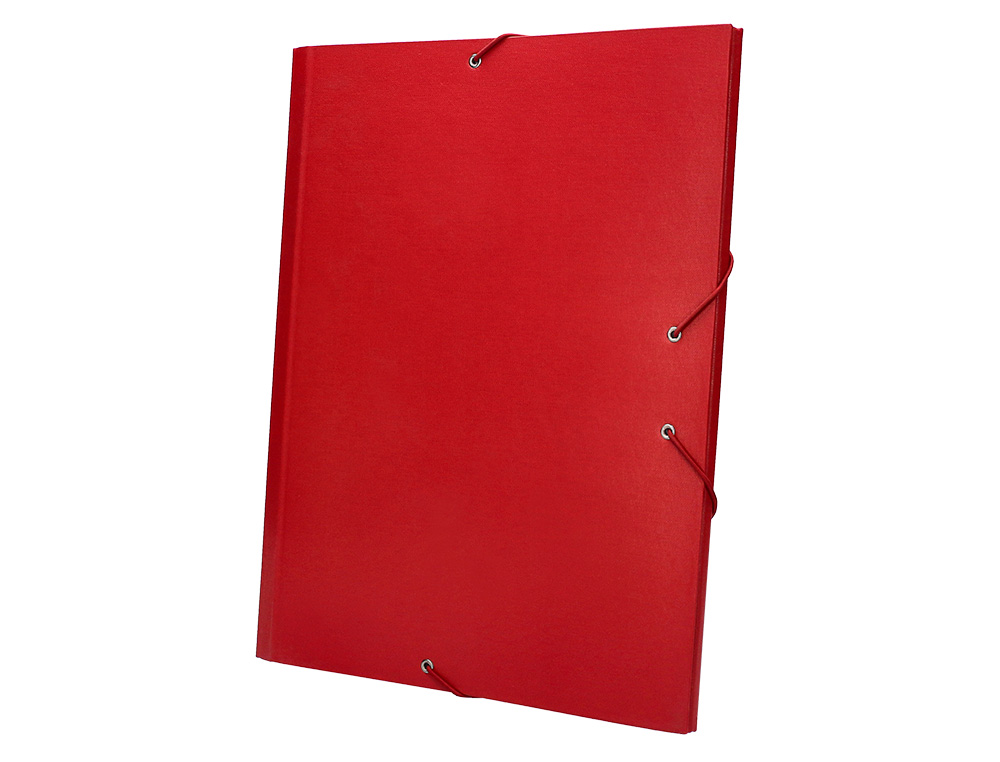 CARPETA CLASIFICADORA LIDERPAPEL 12 DEPARTAMENTOS FOLIO PROLONGADO CARTON FORRADO COLOR ROJO