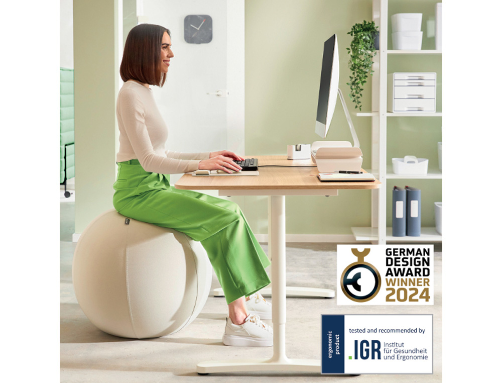 BALON DE ASIENTO LEITZ ACTIVE 65 CM ANTIDESLIZANTE COLOR GRIS