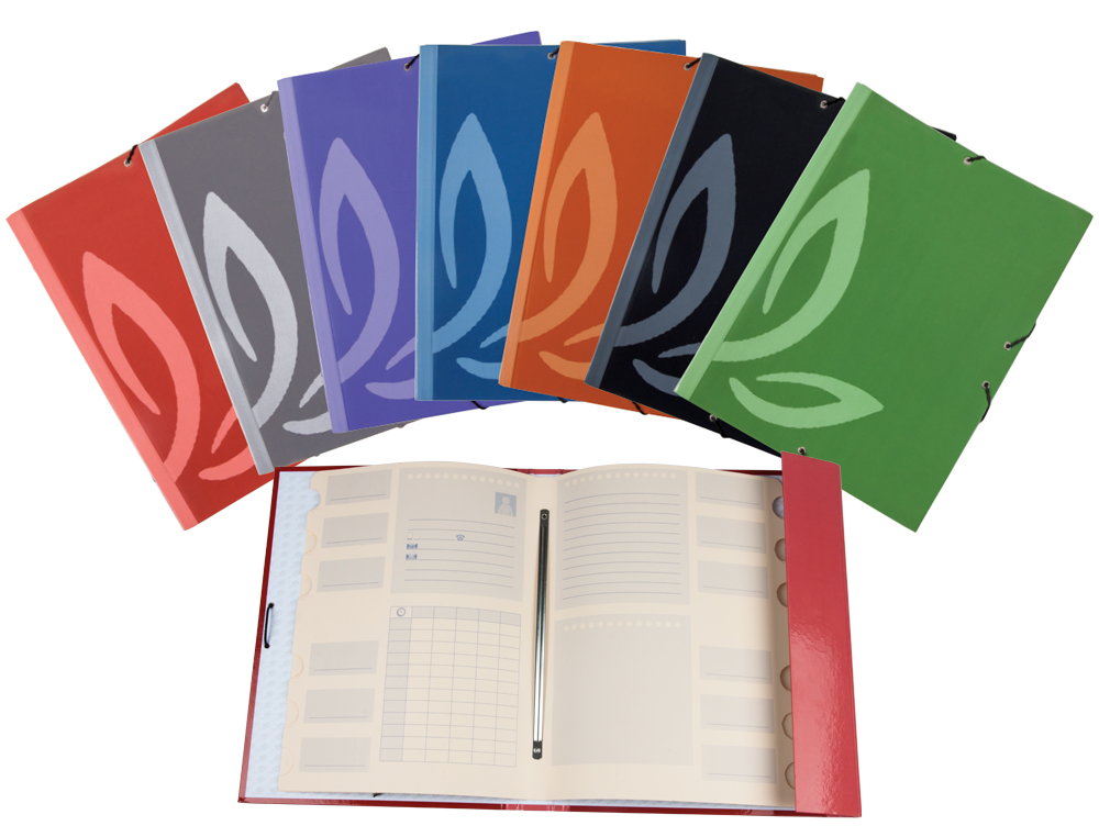 CARPETA LIDERPAPEL GOMAS CARTON FORRADO CLASIFICADORA FOLIO 7 COLORES SURTIDOS