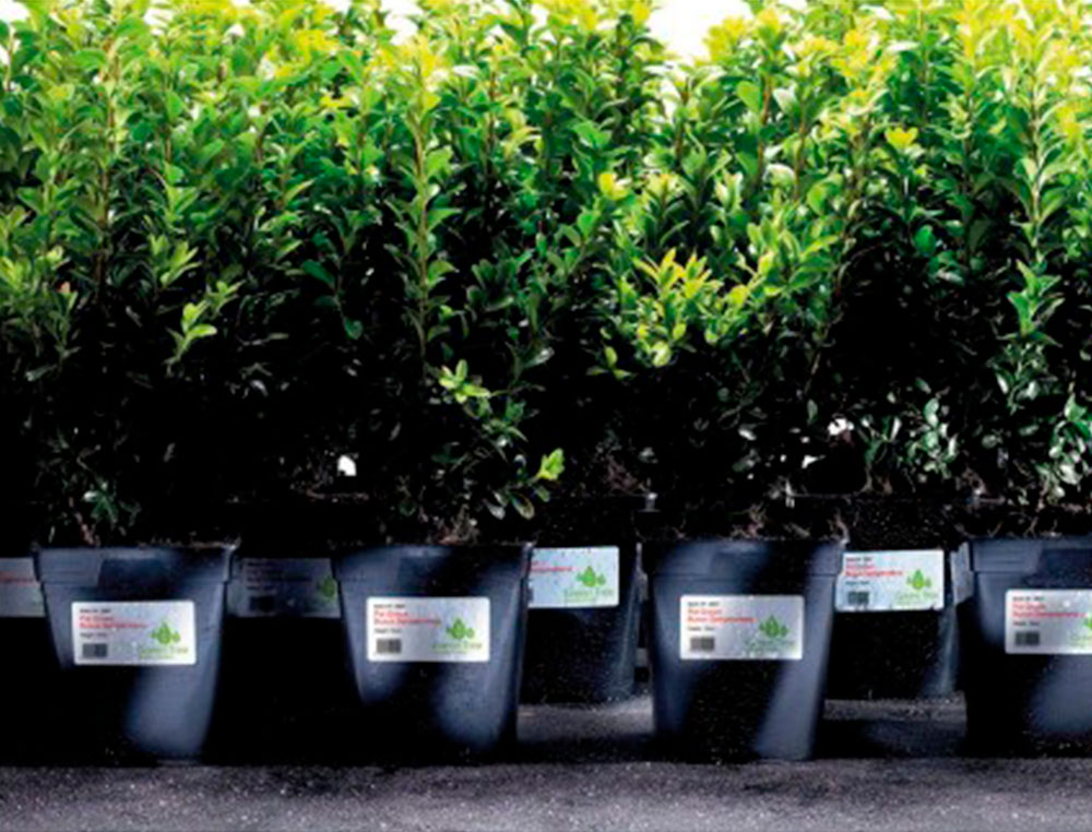 ETIQUETA ADHESIVA RESISTENTE AVERY POLIESTER BLANCO LASER 99,1X42,3 MM CAJA DE 240 UNIDADES