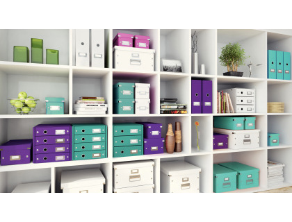 CAJA ALMACENAMIENTO LEITZ CLICK&STORE WOW CARTON RECICLADO COLOR BLANCO 281X200X369 MM