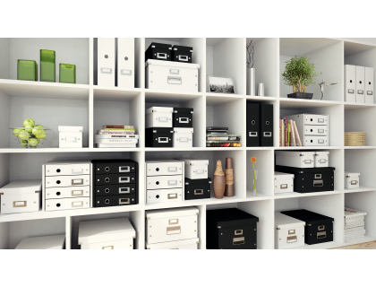 CAJA ALMACENAMIENTO LEITZ CLICK&STORE WOW CARTON RECICLADO COLOR BLANCO 281X200X369 MM