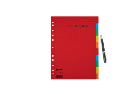 SEPARADOR ESSELTE CARTULINA JUEGO DE 10 SEPARADORES FOLIO MULTITALADRO