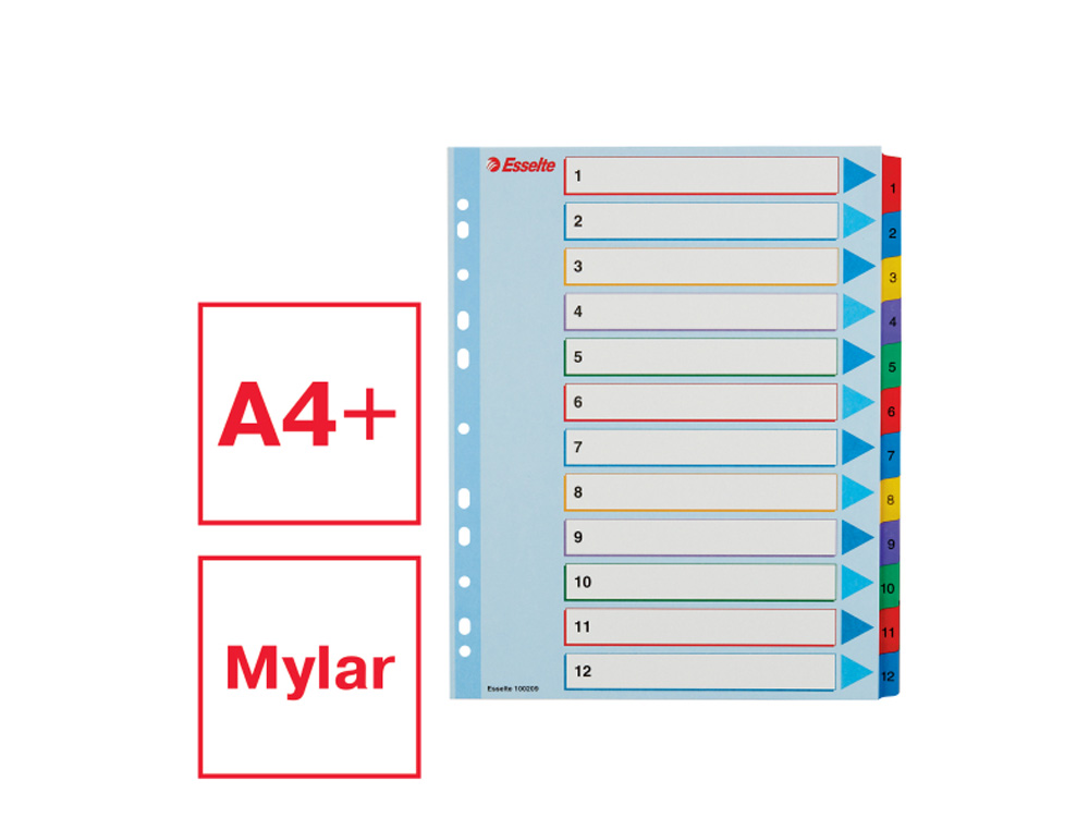 SEPARADOR NUMERICO ESSELTE CARTULINA BORRA Y ESCRIBE 1-12 JUEGO DE 12 SEPARADORES DIN A4 MULTITALADRO