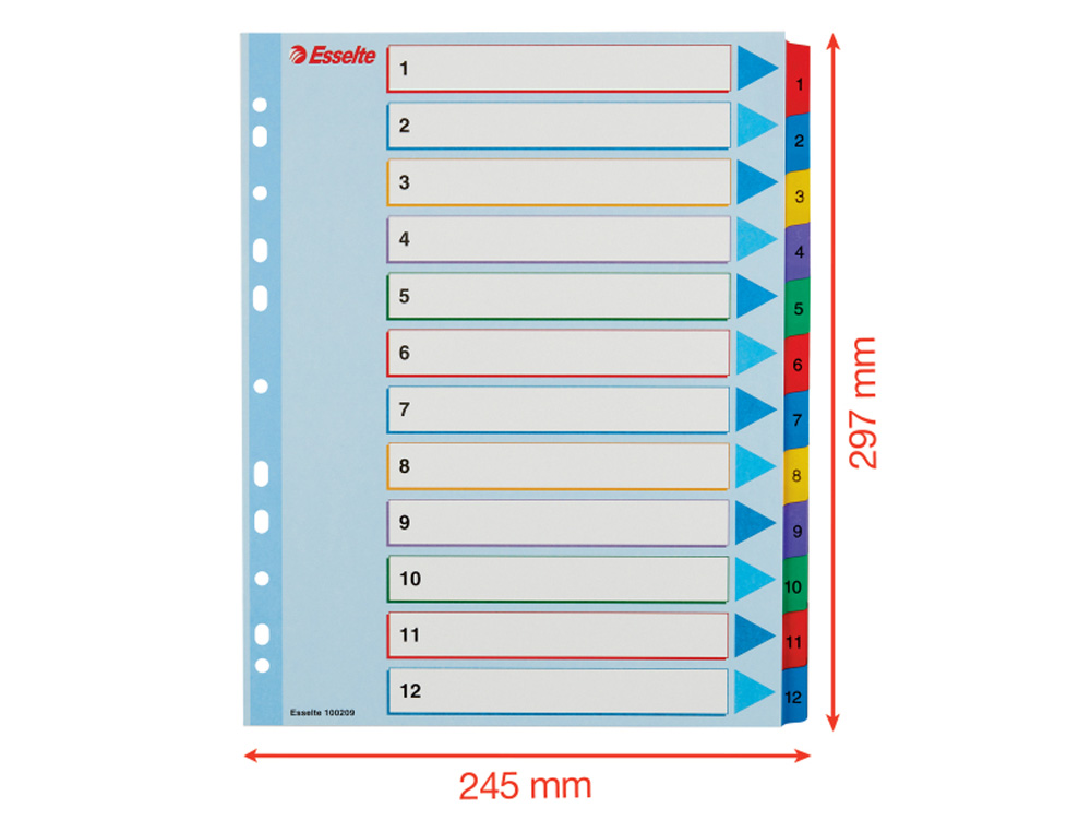 SEPARADOR NUMERICO ESSELTE CARTULINA BORRA Y ESCRIBE 1-12 JUEGO DE 12 SEPARADORES DIN A4 MULTITALADRO