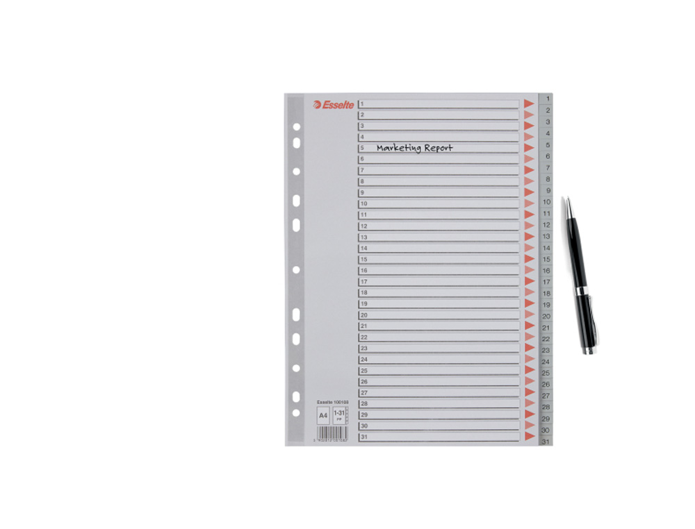 SEPARADOR NUMERICO ESSELTE PLASTICO 1-31 JUEGO DE 31 SEPARADORES DIN A4 MULTITALADRO COLOR GRIS