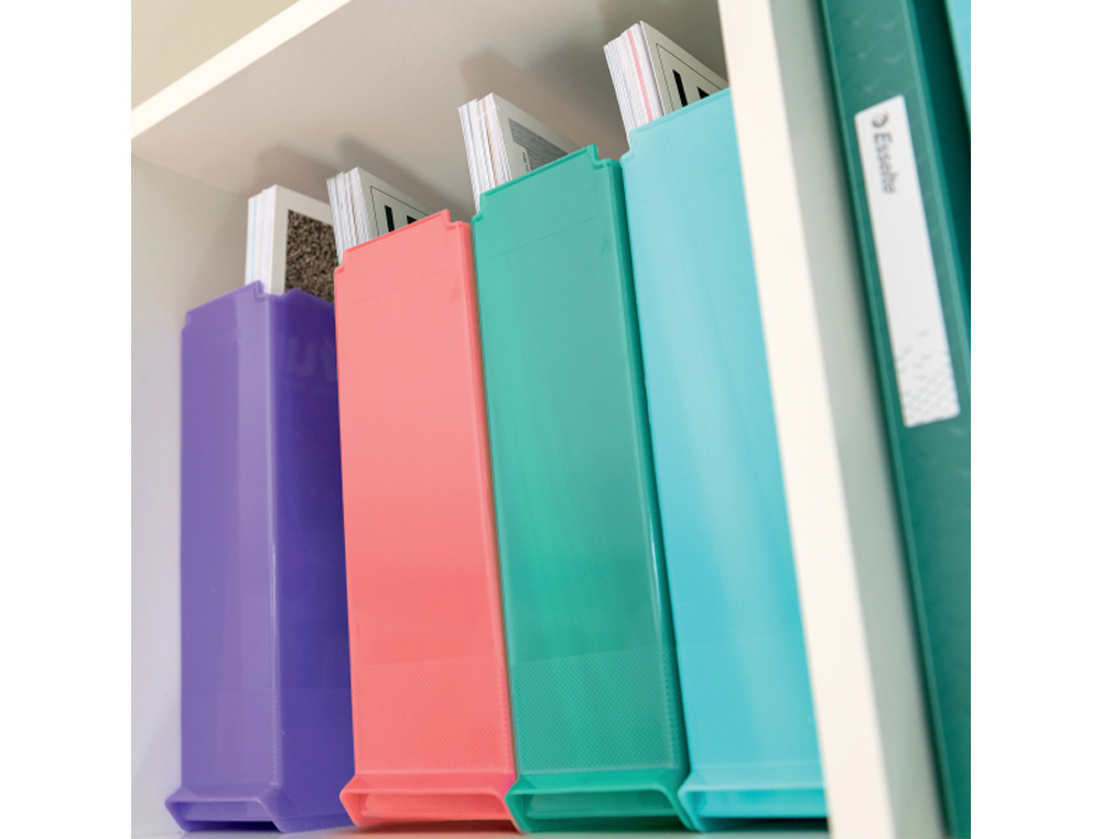 REVISTERO ESSELTE COLOUR'BREEZE PLASTICO COLORES SURTIDOS 72X256X260 MM