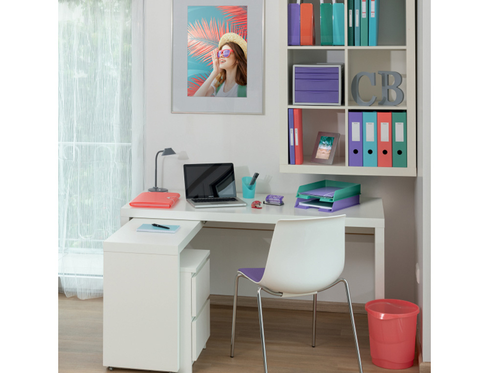REVISTERO ESSELTE COLOUR'BREEZE PLASTICO COLORES SURTIDOS 72X256X260 MM