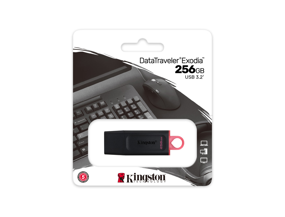 MEMORIA KINGSTON PENDRIVE EXODIA 256GB