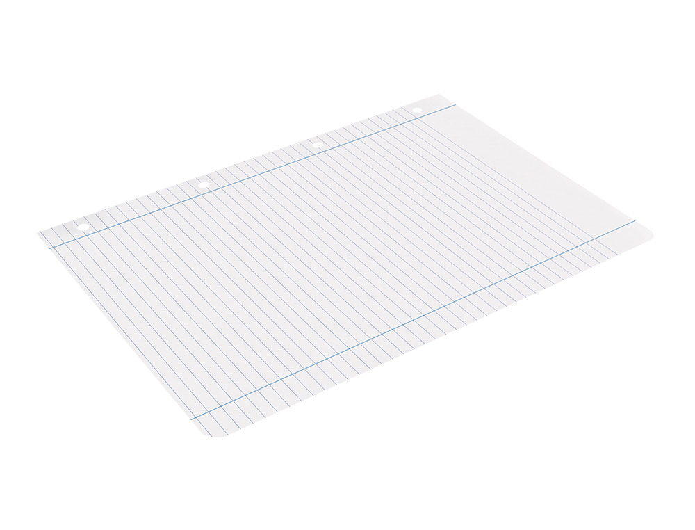 RECAMBIO LIDERPAPEL A4 100 HOJAS 100GR HORIZONTAL CON DOBLE MARGEN 4 TALADROS
