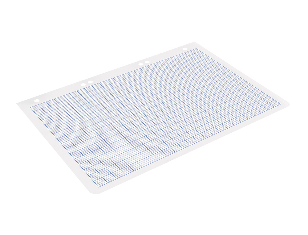 RECAMBIO LIDERPAPEL CUARTO 100 HOJAS 60GR RAYADO N 46 6 TALADROS