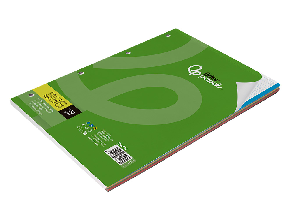 RECAMBIO LIDERPAPEL A4 100 HOJAS 100GR CUADRO 5MM 4 TALADROS BANDAS DE 5 COLORES