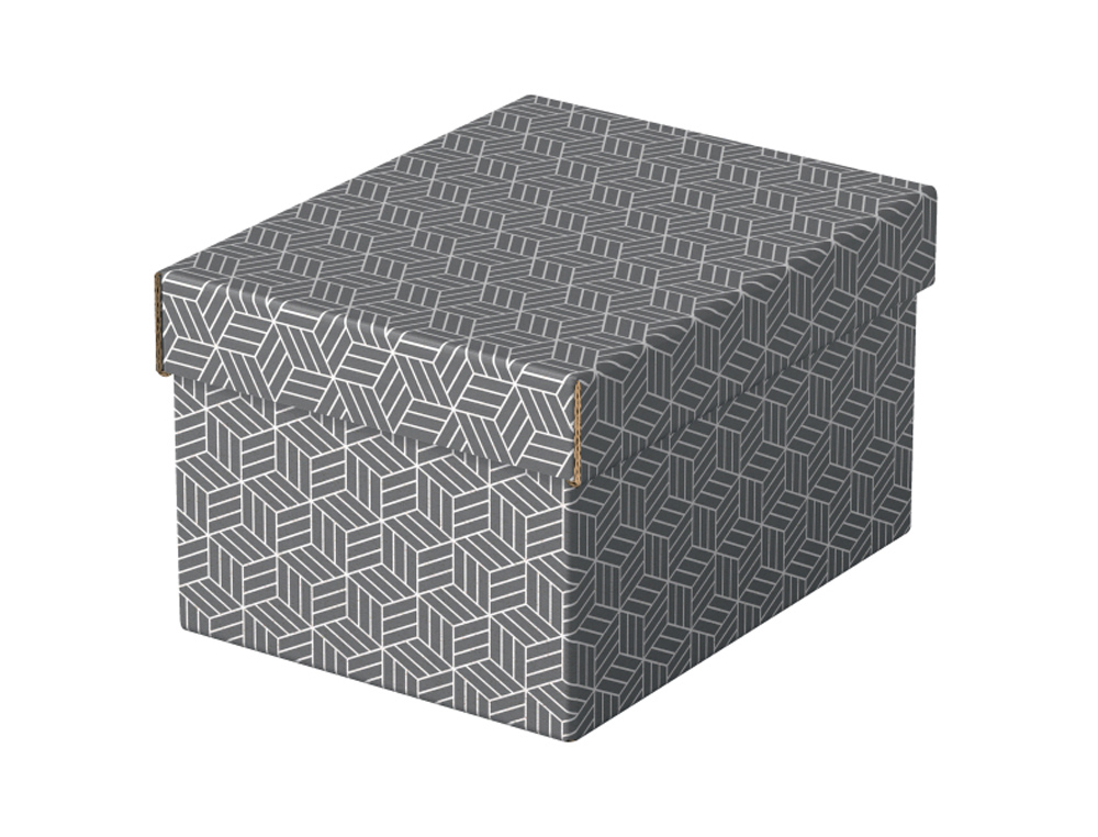 CAJA DE ALMACENAMIENTO ESSELTE CARTON CON ASAS COLOR GRIS 255X200X150 MM PACK DE 3 UNIDADES